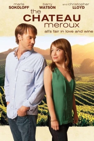  Coup de Foudre à Napa Valley affiche 