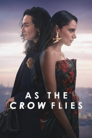  Les Ailes de l'Ambition - Saison 2 affiche 