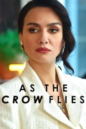  Les Ailes de l'Ambition - Saison 3 affiche 